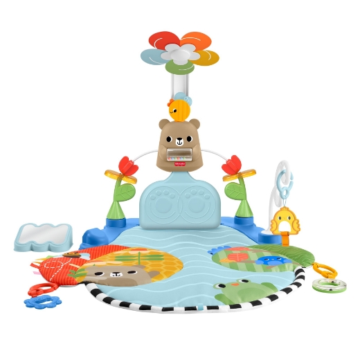 Picture of Fisher Price Sense & Sway Activity Gym