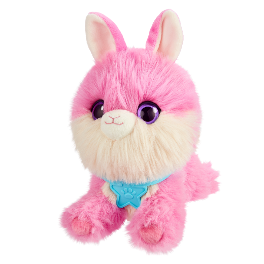 Picture of Scruffaluvs Series 3 Rainbow Pets Single Pack assorted ( ONLY SOLD in Carton of 2 )