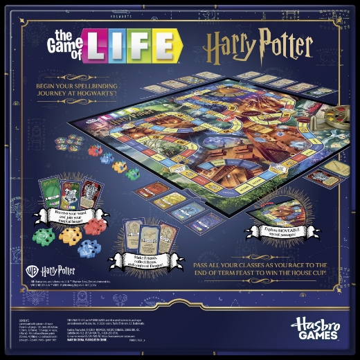 Picture of Game of Life Harry Potter